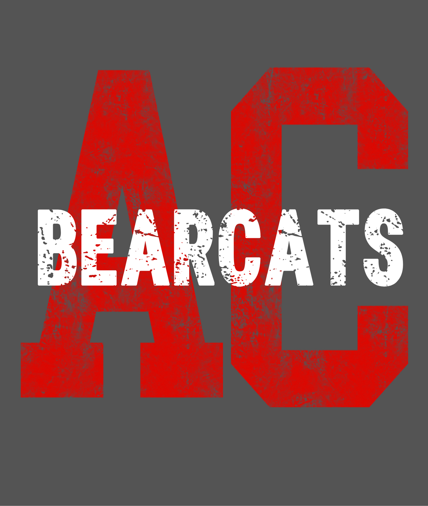 Big Letter AC Bearcats Boxy Tee
