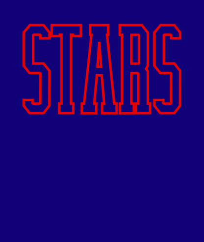 2026 Outline Stars Tee