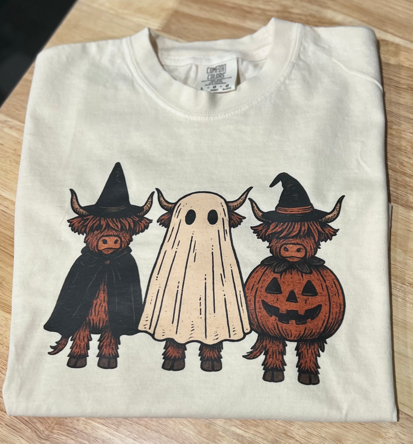 Highland Halloween Cows