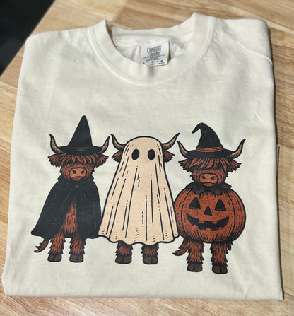 Highland Halloween Cows