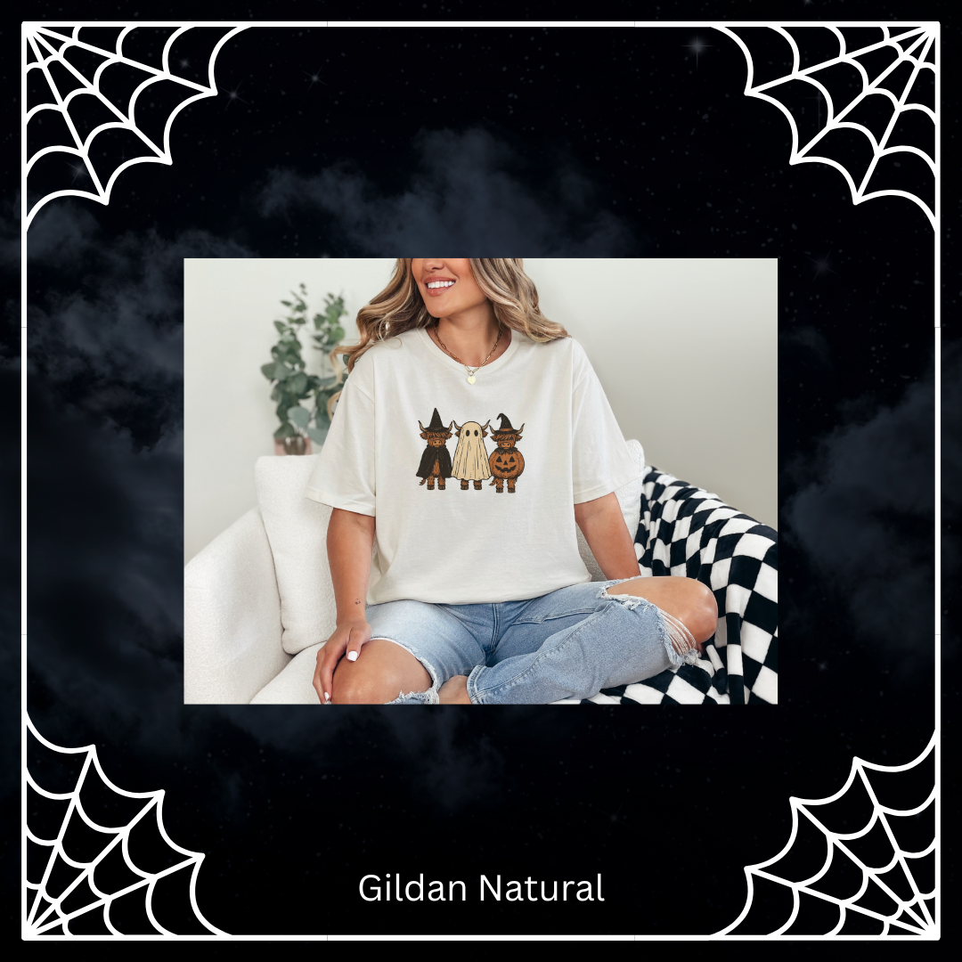 Highland Halloween Cows