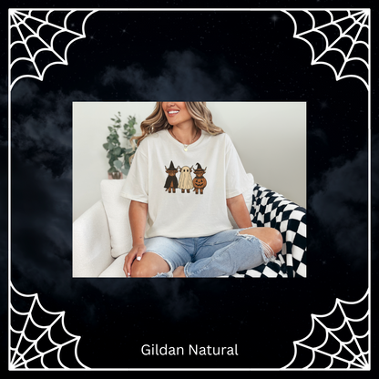 Highland Halloween Cows