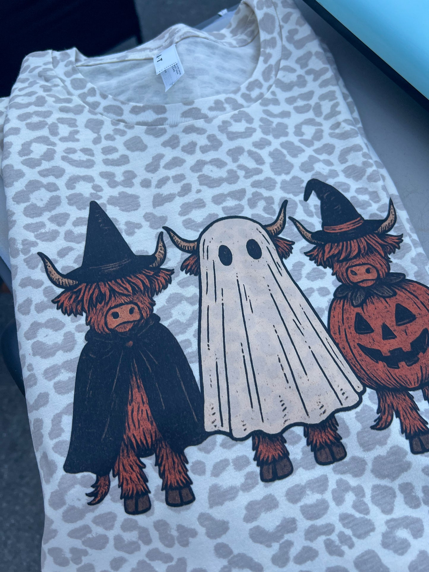 Highland Halloween Cows