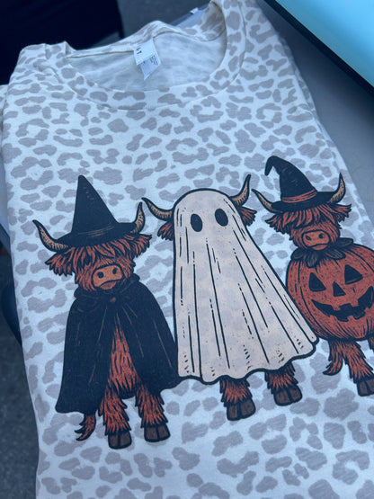 Highland Halloween Cows